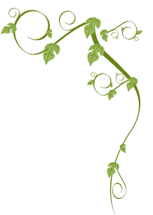 Go Green Top Vine