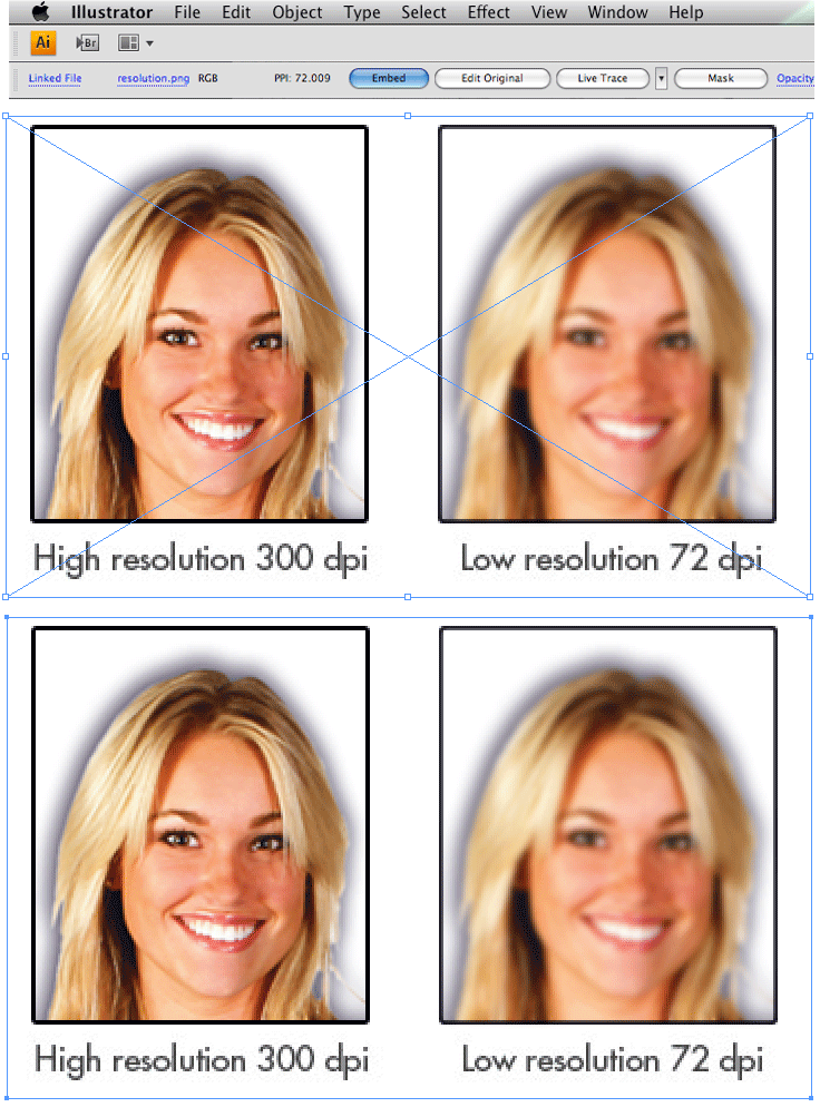 Embed All Images