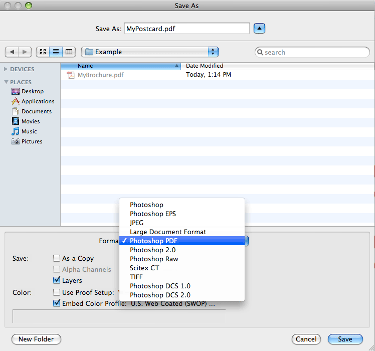 Save PDF